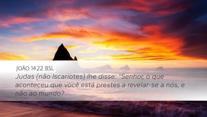 João 14:22 BSL Bible Verse Image