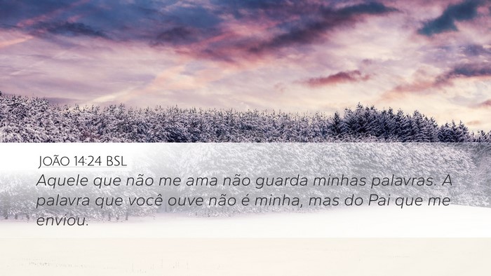 João 14:24 BSL Bible Verse Image