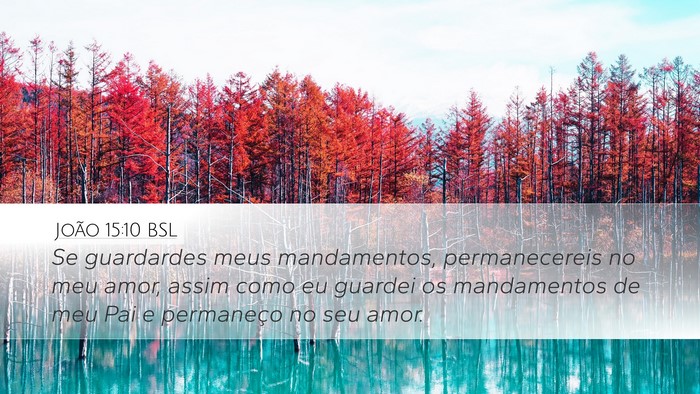 João 15:10 BSL Bible Verse Image