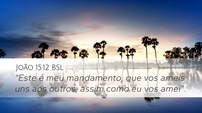 João 15:12 BSL Bible Verse Image