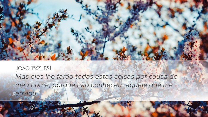 João 15:21 BSL Bible Verse Image