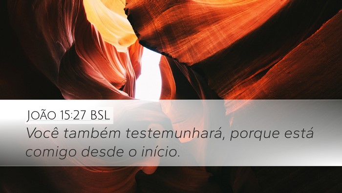João 15:27 BSL Bible Verse Image