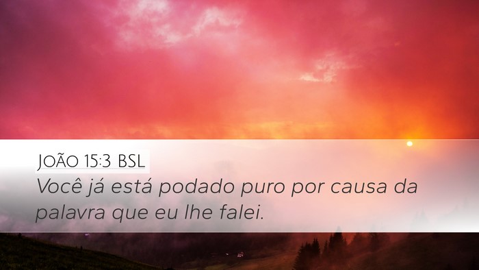 João 15:3 BSL Bible Verse Image