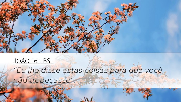 João 16:1 BSL Bible Verse Image