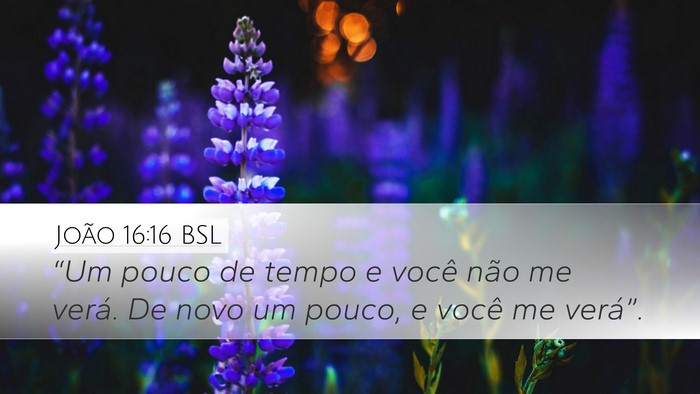 João 16:16 BSL Bible Verse Image