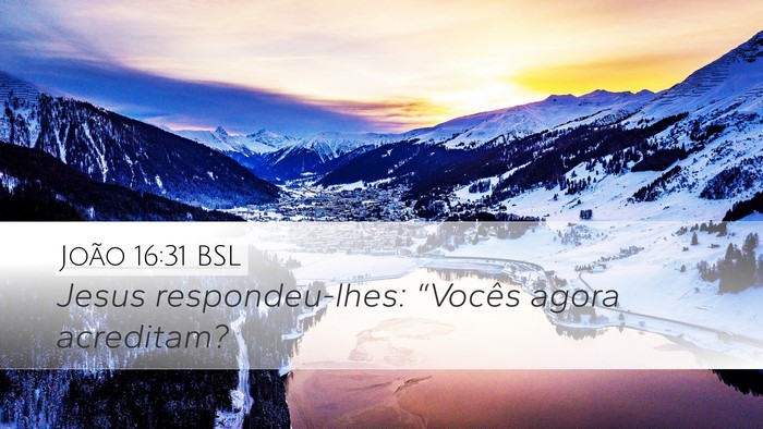 João 16:31 BSL Desktop Wallpaper - Jesus respondeu-lhes: “Vocês agora - Desktop Bible Verse Wallpaper