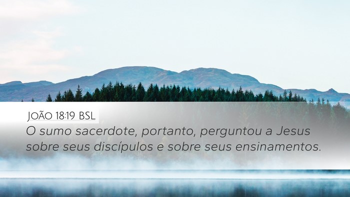 João 18:19 BSL Bible Verse Image
