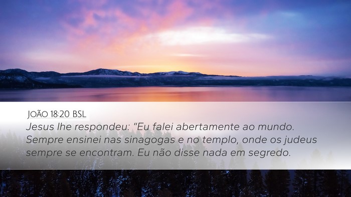 João 18:20 BSL Bible Verse Image