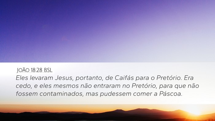 João 18:28 BSL Bible Verse Image