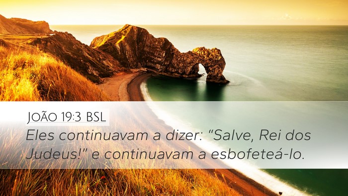 João 19:3 BSL Bible Verse Image