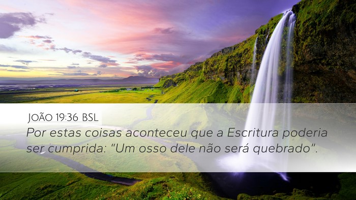 João 19:36 BSL Bible Verse Image