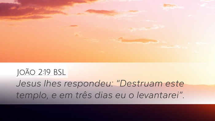 João 2:19 BSL Bible Verse Image