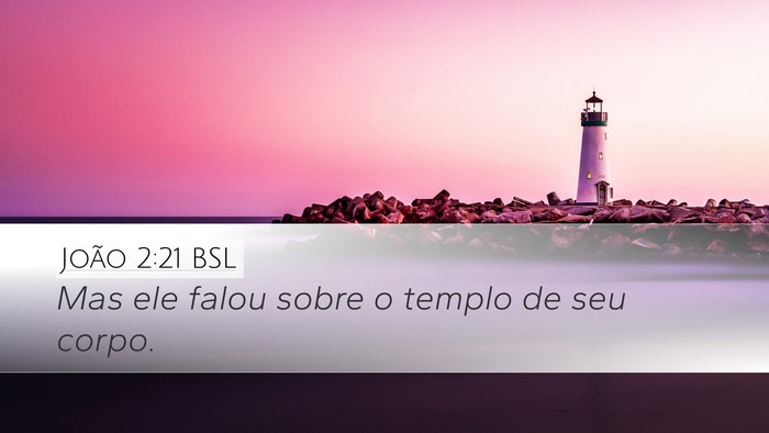 João 2:21 BSL Bible Verse Image