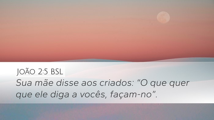 João 2:5 BSL Bible Verse Image