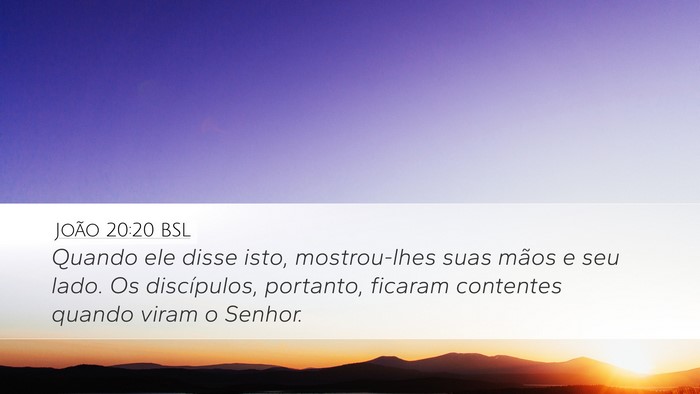 João 20:20 BSL Bible Verse Image