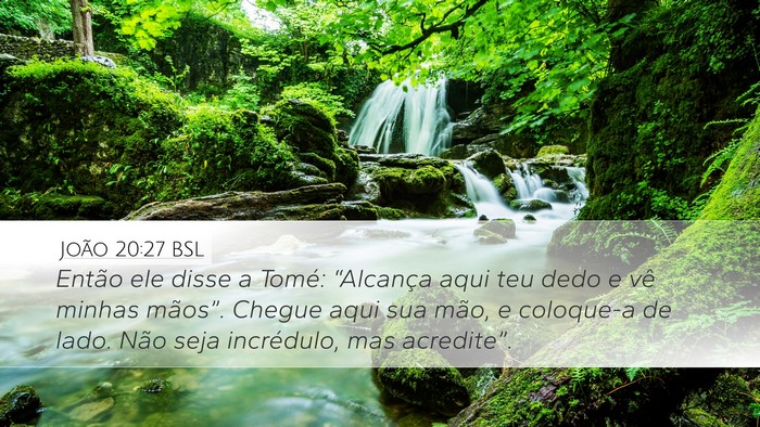 João 20:27 BSL Bible Verse Image