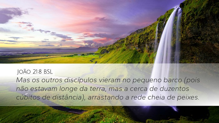 João 21:8 BSL Bible Verse Image