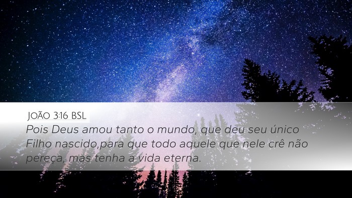 João 3:16 BSL Bible Verse Image