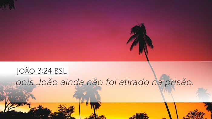 João 3:24 BSL Bible Verse Image