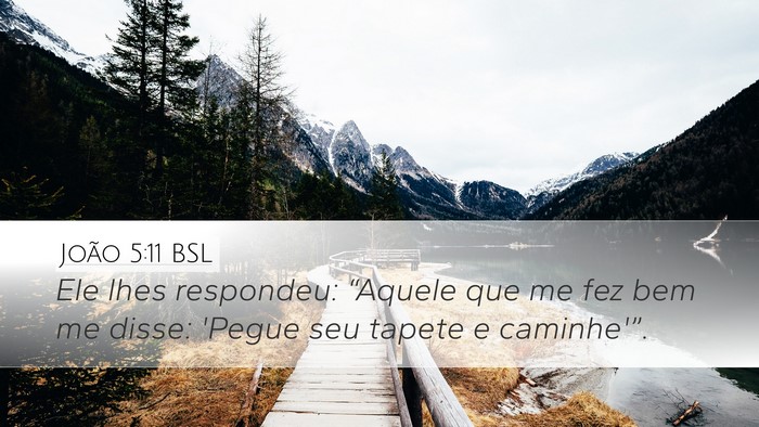 João 5:11 BSL Bible Verse Image