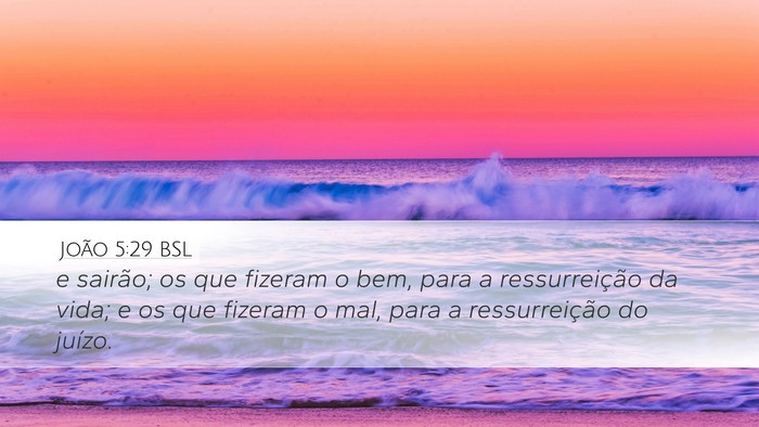João 5:29 BSL Bible Verse Image
