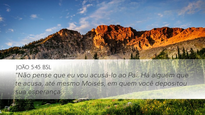 João 5:45 BSL Bible Verse Image