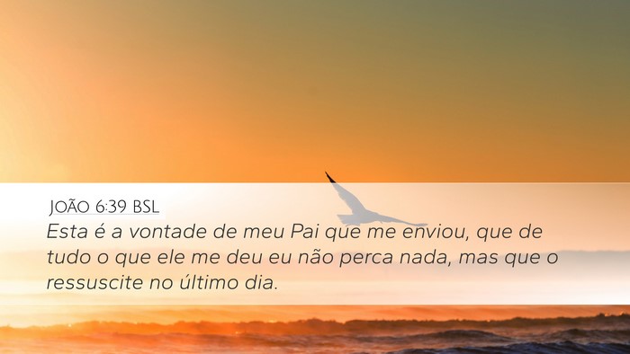 João 6:39 BSL Bible Verse Image