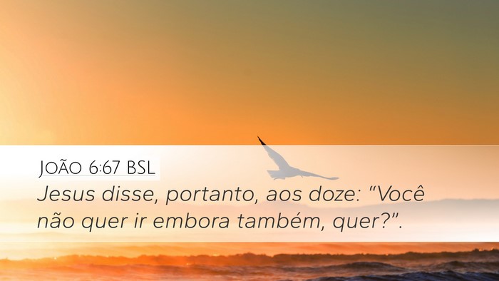 João 6:67 BSL Bible Verse Image