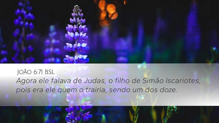 João 6:71 BSL Bible Verse Image