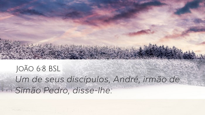 João 6:8 BSL Bible Verse Image