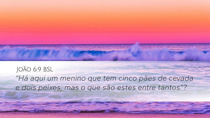 João 6:9 BSL Bible Verse Image