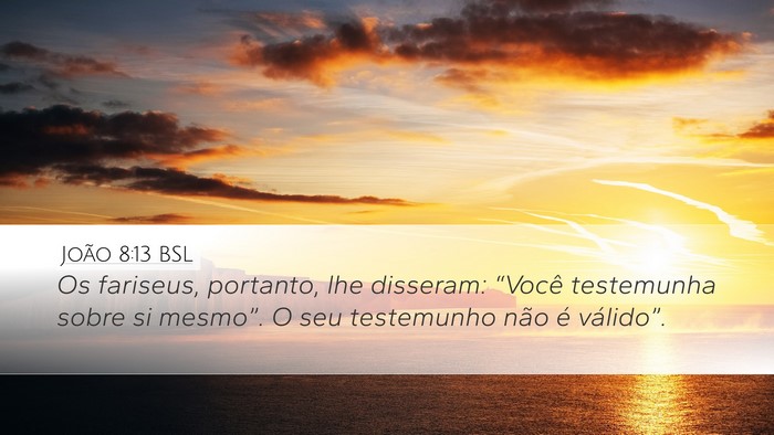 João 8:13 BSL Bible Verse Image