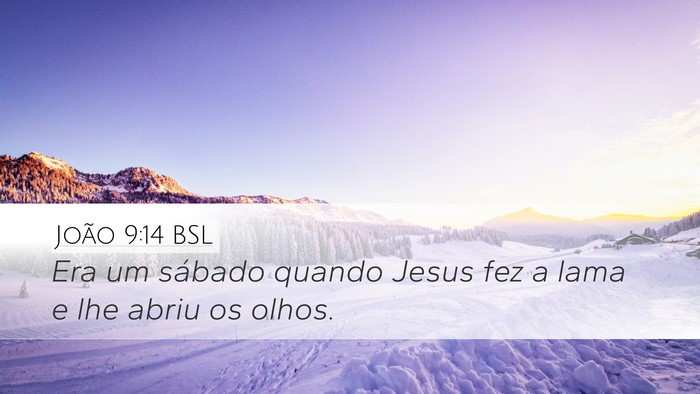 João 9:14 BSL Bible Verse Image