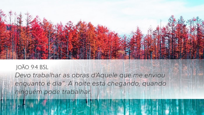 João 9:4 BSL Bible Verse Image