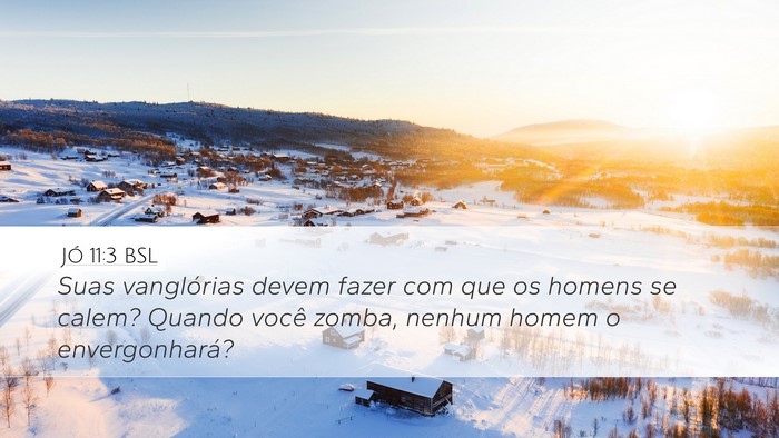 Jó 11:3 BSL Bible Verse Image