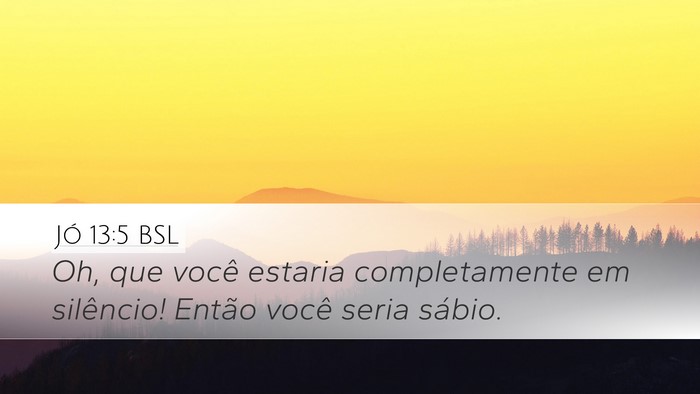 Jó 13:5 BSL Bible Verse Image