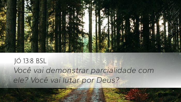 Jó 13:8 BSL Desktop Wallpaper - Você vai demonstrar parcialidade com ele? Você - Desktop Bible Verse Wallpaper