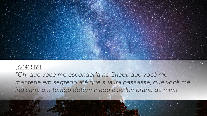 Jó 14:13 BSL Bible Verse Image