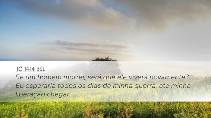 Jó 14:14 BSL Bible Verse Image