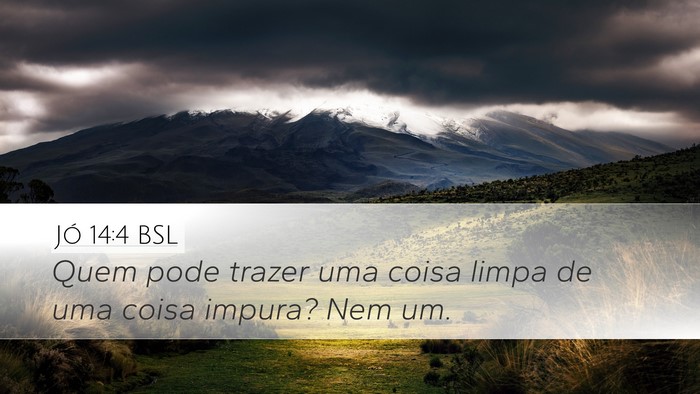 Jó 14:4 BSL Bible Verse Image