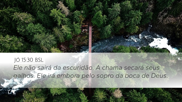 Jó 15:30 BSL Bible Verse Image