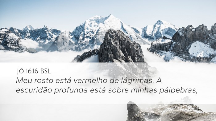 Jó 16:16 BSL Desktop Wallpaper - Meu rosto está vermelho de lágrimas. A - Desktop Bible Verse Wallpaper