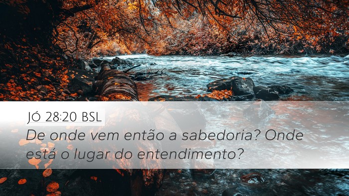 Jó 28:20 BSL Bible Verse Image
