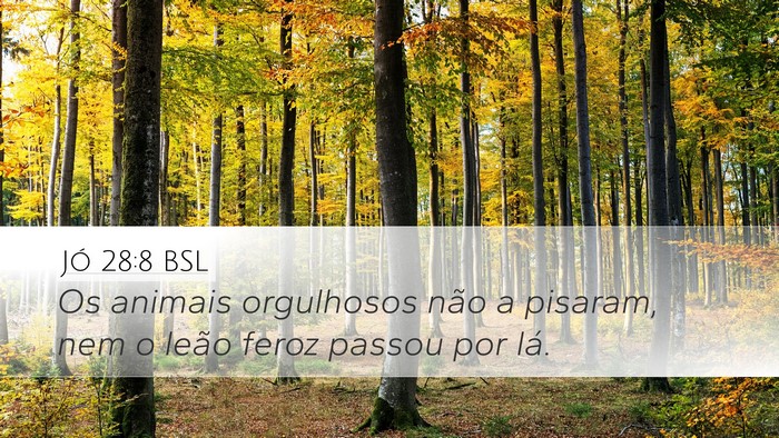 Jó 28:8 BSL Desktop Wallpaper - Os animais orgulhosos não a pisaram, nem o leão - Desktop Bible Verse Wallpaper