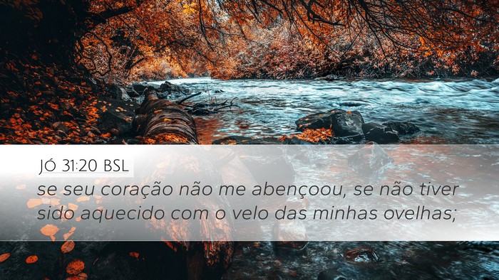 Jó 31:20 BSL Bible Verse Image