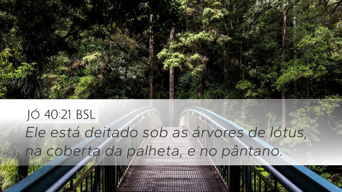 Jó 40:21 BSL Desktop Wallpaper - Ele está deitado sob as árvores de lótus, na - Desktop Bible Verse Wallpaper