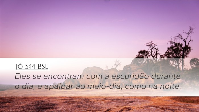 Jó 5:14 BSL Bible Verse Image