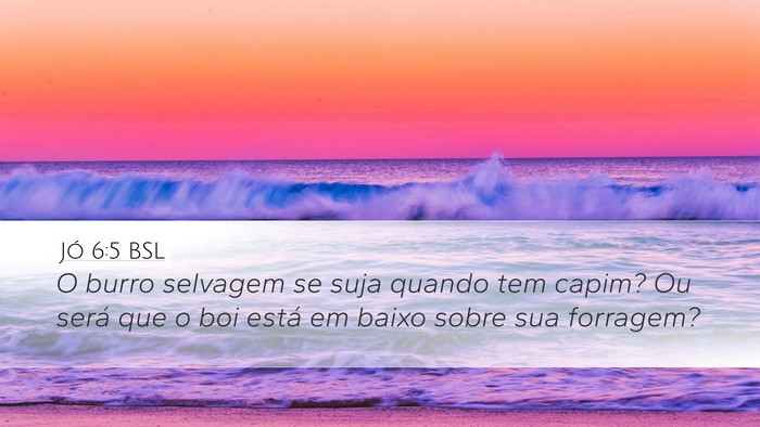 Jó 6:5 BSL Bible Verse Image