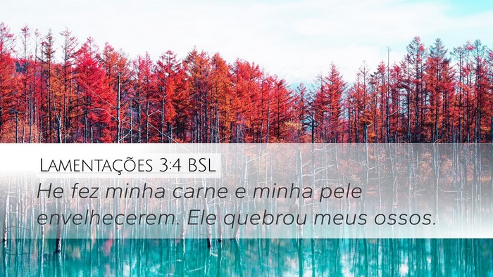 Lamentações 3:4 BSL Desktop Wallpaper - He fez minha carne e minha pele envelhecerem. Ele - Desktop Bible Verse Wallpaper