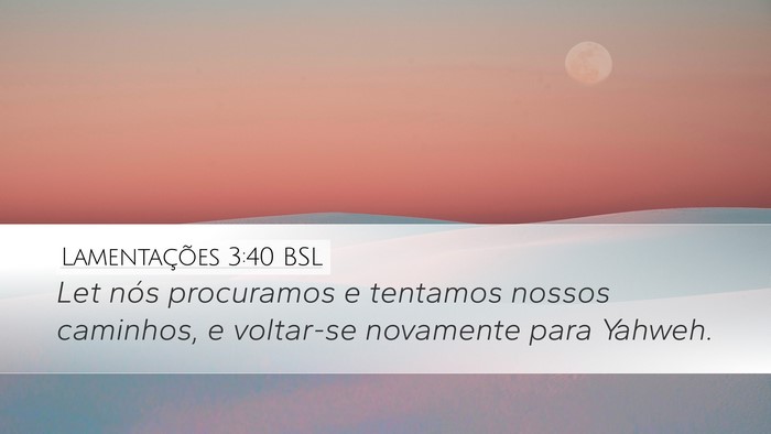 Lamentações 3:40 BSL Bible Verse Image
